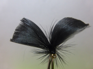 Size 10 Mayfly Black